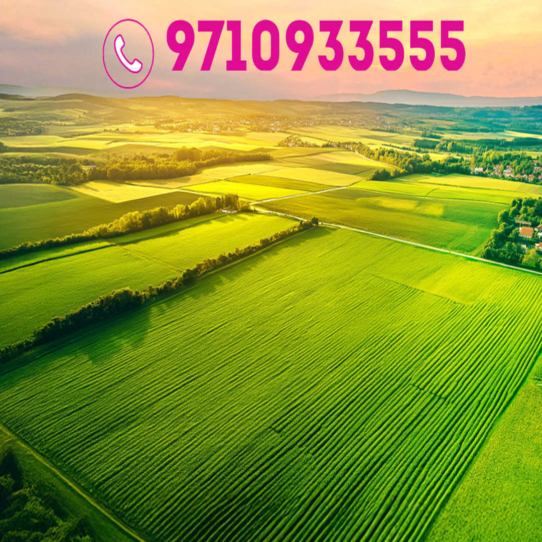 Arvind Plots Vadodara Photo